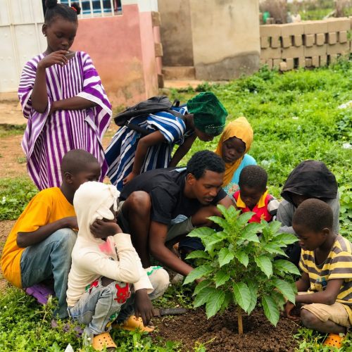 Tawbah Tree Planting Day